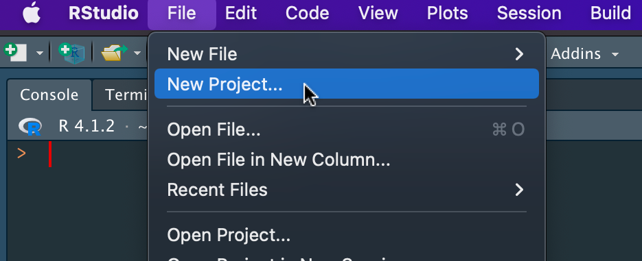 Screenshot of creating an RStudio project.